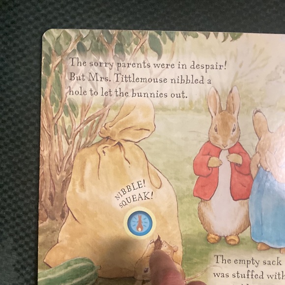 “Peter rabbit and the Flopsy bunnies “ kids sound board book - Picture 8 of 14